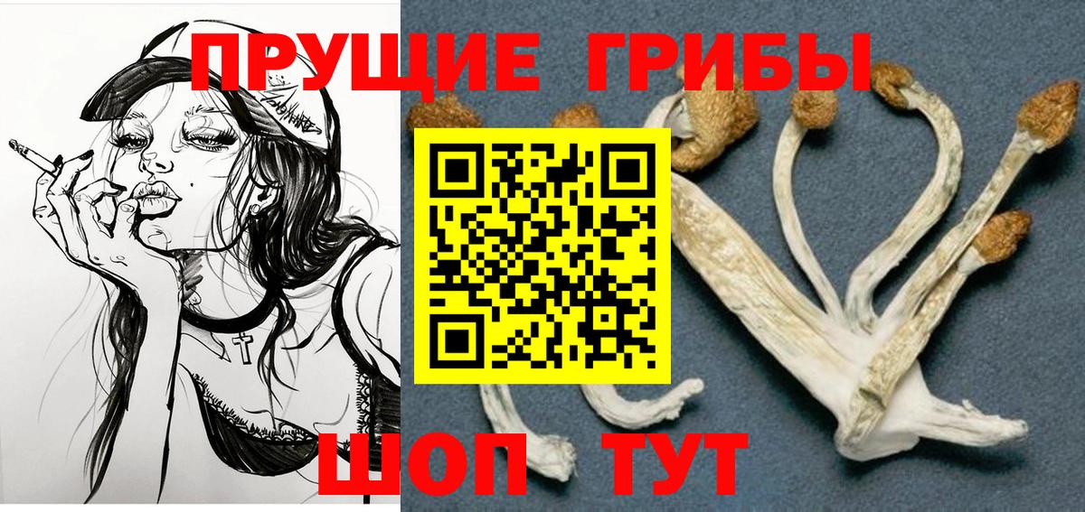 Галлюциногенные грибы мицелий  Вход с VPN  Краснознаменск 
